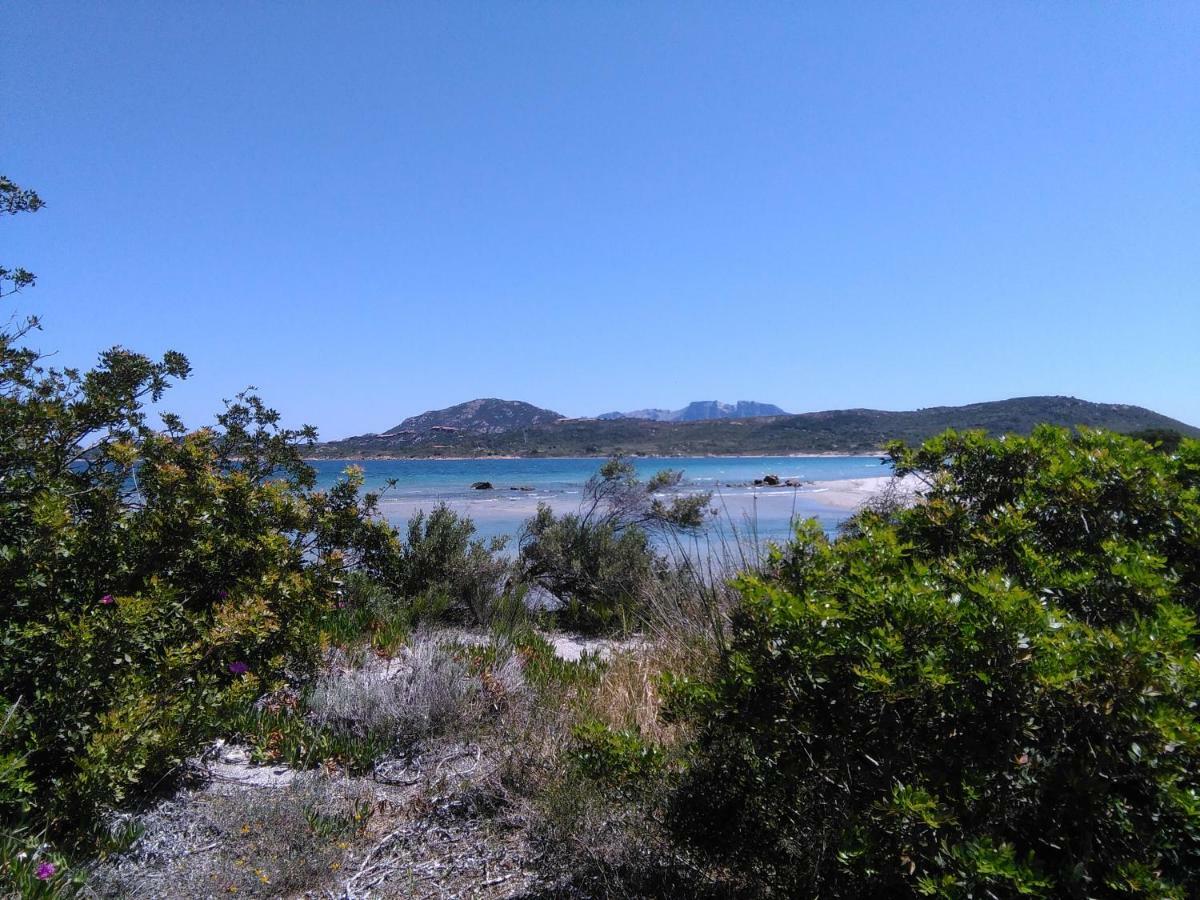 Residenza Le Maree Apartment Murta Maria Bagian luar foto