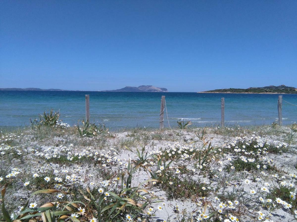 Residenza Le Maree Apartment Murta Maria Bagian luar foto