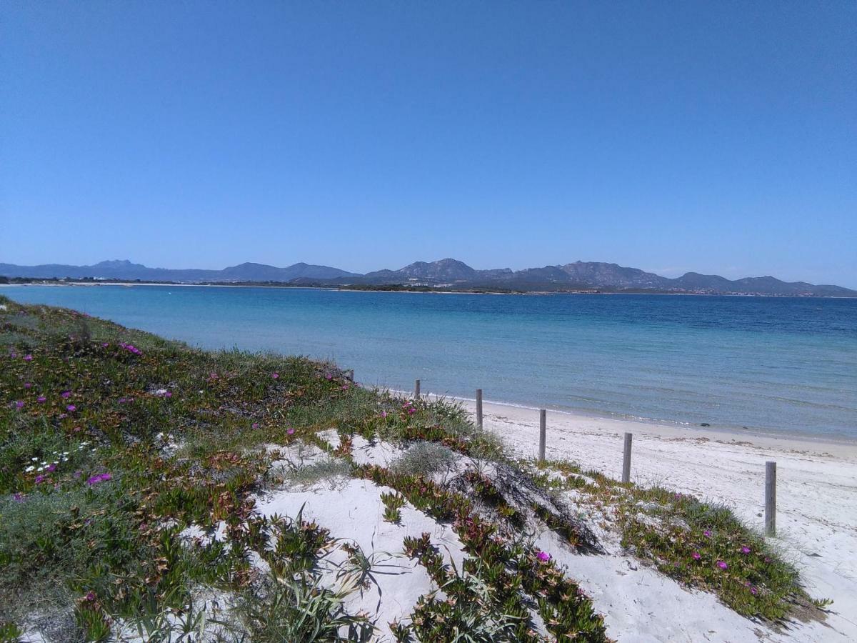 Residenza Le Maree Apartment Murta Maria Bagian luar foto