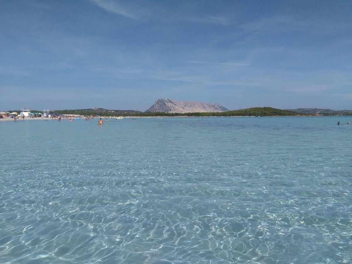Residenza Le Maree Apartment Murta Maria Bagian luar foto